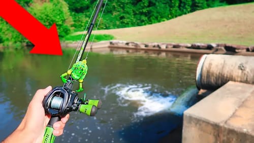 Fishing w/ TURTLES & FROGS in HIDDEN Farm Pond