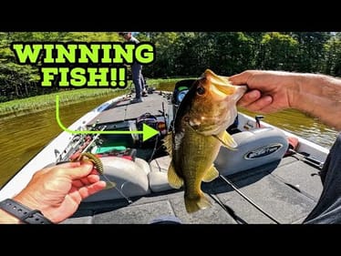 We WON 1st and 2nd Place Out the SAME BOAT!!! || Fall Bass Tournament