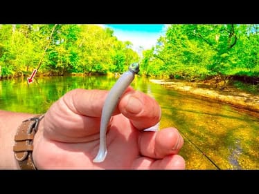 Summertime Bass Can't Resist This Lure! Easy Way To Catch Bass In The Summer
