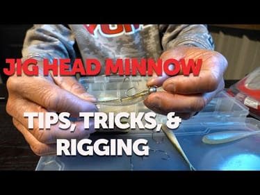 Jig Head Minnow -- Everything you NEED to know!