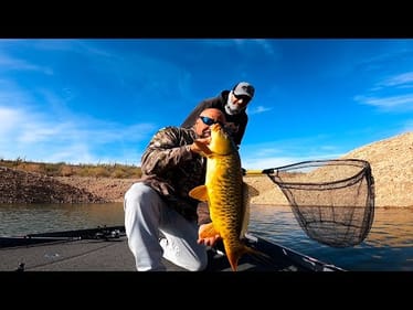 Lake Pleasant Hidden Gems: Tournament Non-Bass Beatdown!