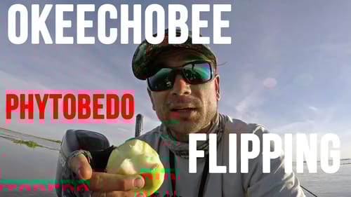 I Love Punching Mats for Bass on Lake Okeechobee, The Day Before it all Changed