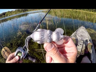 Bass Were SMASHING This Rat Lure!