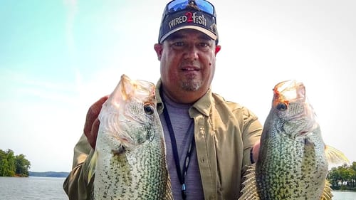 Summer Crappie Fishing and How I've Fished this Summer