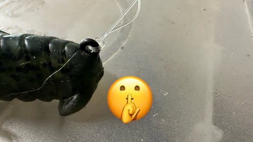 I’ve Discovered A New Flipping Bait…And It’s Freakin’ AWESOME…