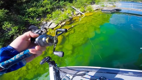 Tough Summertime Bass Fishing for Unique Hybrid Species | Oakley Holbrook Sunglasses