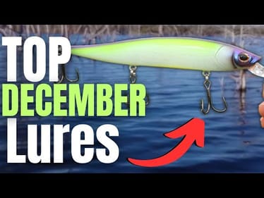 December LURES That BASS Love