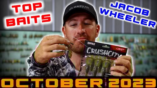Trick or Treat Bass Fishing Top Baits | October ’23