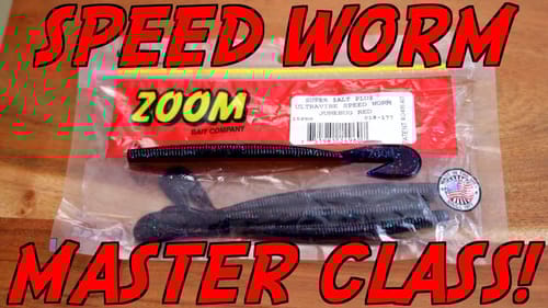 The LAST Zoom Speed Worm Video You'll Ever NEED!