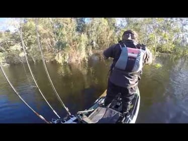 Back to Back Cast(Schooling Summer Bass)