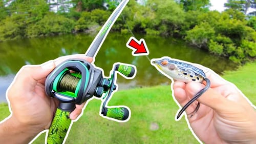Fishing for BIG Bass w/ FROGS! (Bank Fishing)