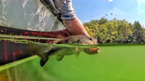 Fishing A Late Summer Heatwave