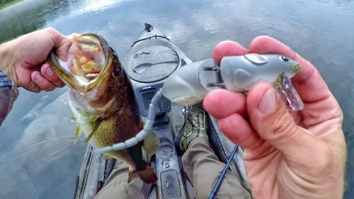 Rat Lure = Big Bass!