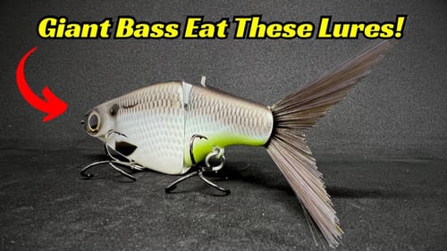 These Lures WILL Catch You The BIGGEST Bass In Your Lakes!