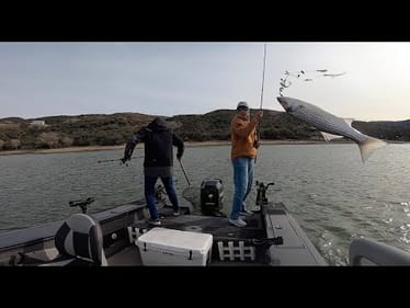 Doubled Up!! (Back at Pyramid Lake!)
