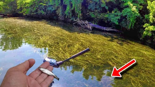 EASIEST Way To Catch SLAB Crappie!!!