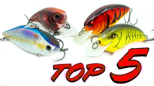 Top 5 Baits For Early Spring Bass Fishing!