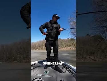 Spinnerbait season is here. The Picasso Titanium Double Willow has been a cheat code. #fishing