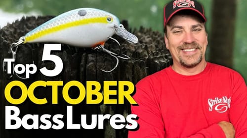Top 5 October Lures for Bass Fishing and WHY