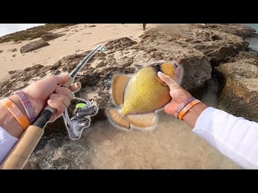This AGGRESSIVE Little Fish DESTROYED My $200 Rod -- (SUDAN Part 4)