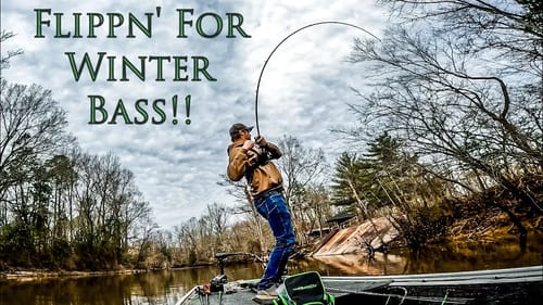 These WINTER BASS Were On The BANK!!! || Winter River Fishing