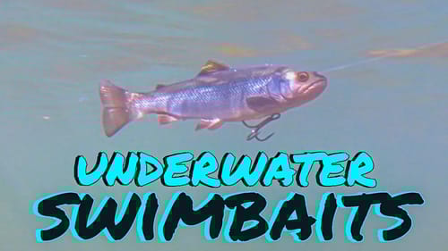 Amazing Underwater Footage of 8 Big Swimbaits!