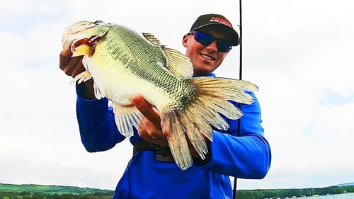 Bass Fishing SHALLOW GRASS on Lake Guntersville!! (They're Biting)