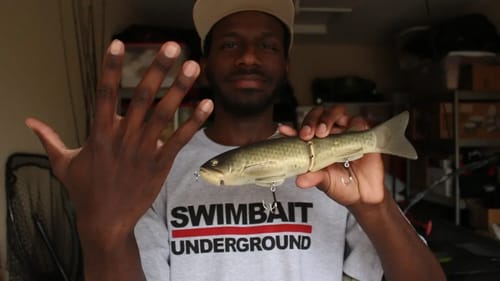5 Tips For Getting Into Swimbaits For Beginners!