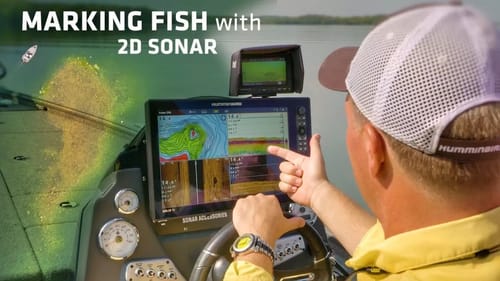 Comparing Bass on Fishfinder Sonar to Real-Time Underwater Video