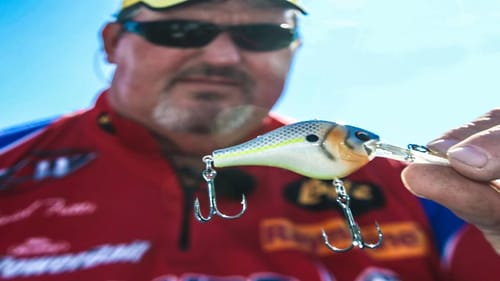 Crankbait Tips for Fall Bass