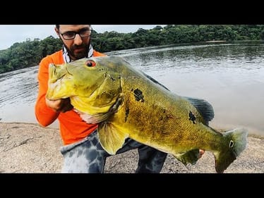 CATCH 'N COOK- AMAZON CAMPFIRE EDITION!