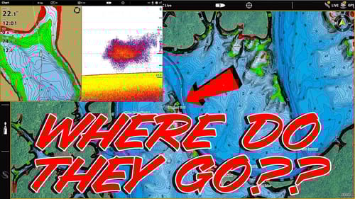 Where Do Bass Go In The Heart Of Winter? (And How You Can Catch Them)