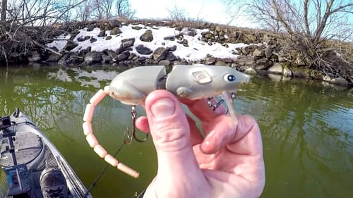 Winter Fishing For... Topwater Bass?