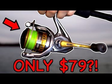 I Found the BEST Spinning Reel on the Market!