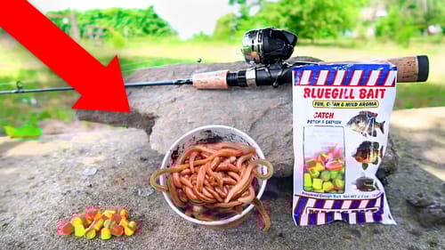 Fishing w/ BIG LIVEBAIT vs FAKE BAIT (WALMART)