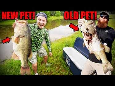 Stocking Backyard Pond With NEW Big Bass After Lojo's PET Died!