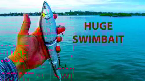 Using HUGE Swimbaits in Saltwater for BIG Fish