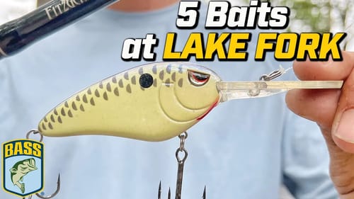 5 Baits to Watch this Summer at Lake Fork