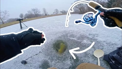 GIANT Fish Through the ICE!!!