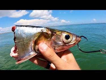 HOW did our ROD NOT BREAK?? (BUCKET LIST FISH)