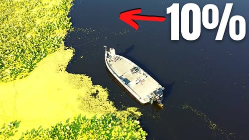 ONLY 10% of People FISH Here In The SUMMER (Don't Miss Out)