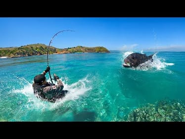 THEY CAN'T BE STOPPED!