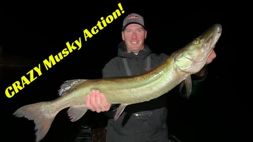 The Magic Musky Bait And Unbelievable Muskie Fishing! Complete Mayhem!