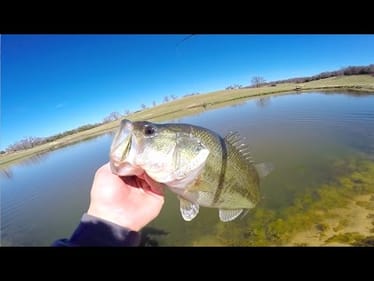 Pond Hopping at Gary Yamamoto's Fishing Ranch