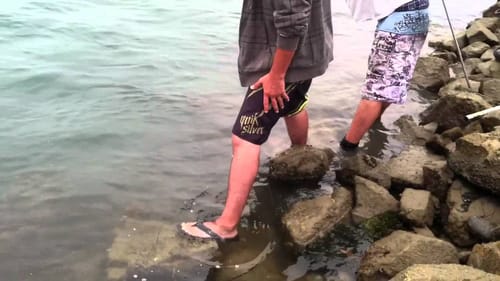 Saltwater Bass Fishing SoCal 2012