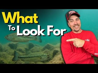 The 1 Location That Bass Will Always Seek Out (And WHY)