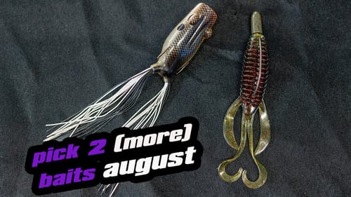 Pick 2 (More) Baits | August