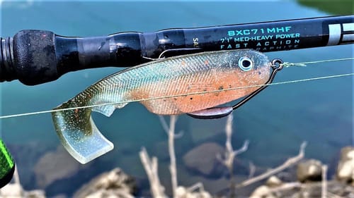 BootTail SwimBait | Pour to Catch | Epic Pud