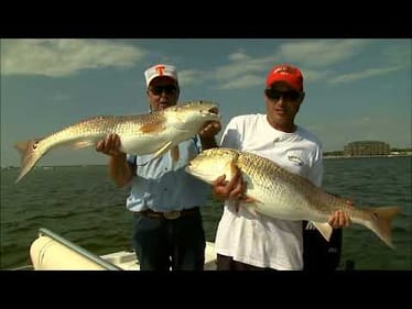 Bill Dance Episode Preview: Big Bulls at Destin