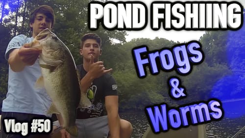Pond Fishing ~ Frogs & Worms - Vlog #50